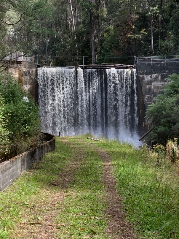 A spillway in the forest with a grassy walking track leading up to it. 