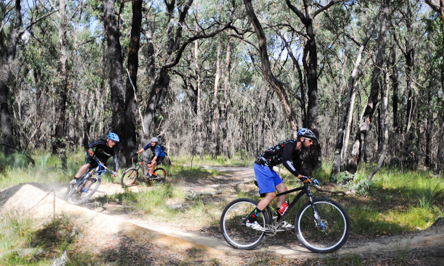 Forrest mountain bike trail - Primary Campaign 3 mountain bike riders in the Otway's state forest going round a bend