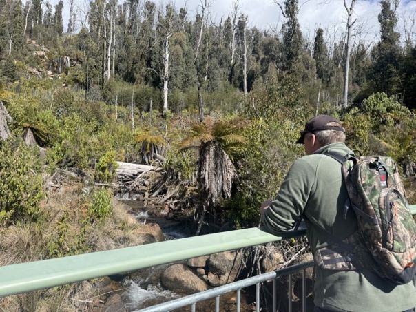 Person standing on a bridge over a creek