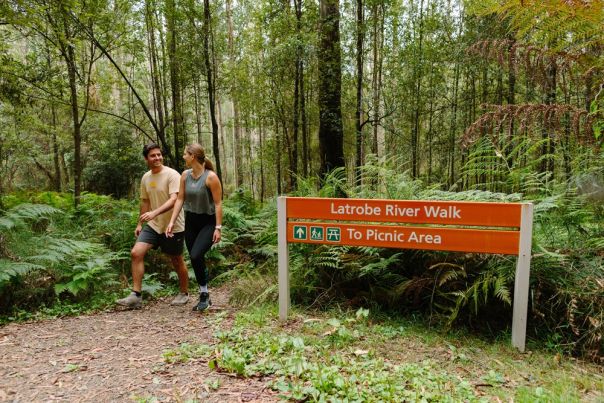 Two people walking on a forest path beside a sign
