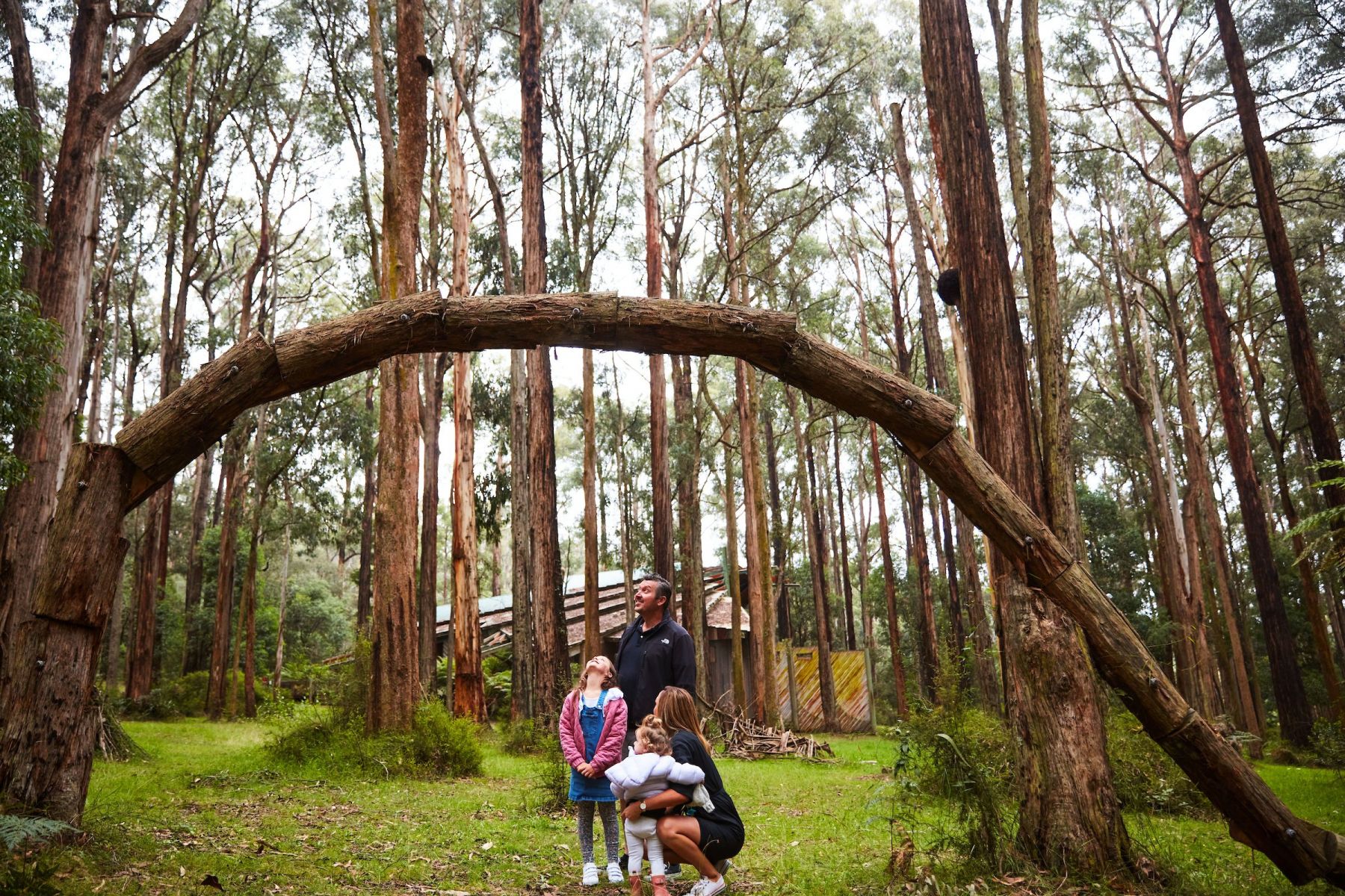 A family looks at a natural artwork in the forest