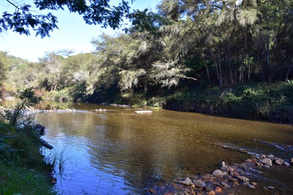 A wide river banked by trees