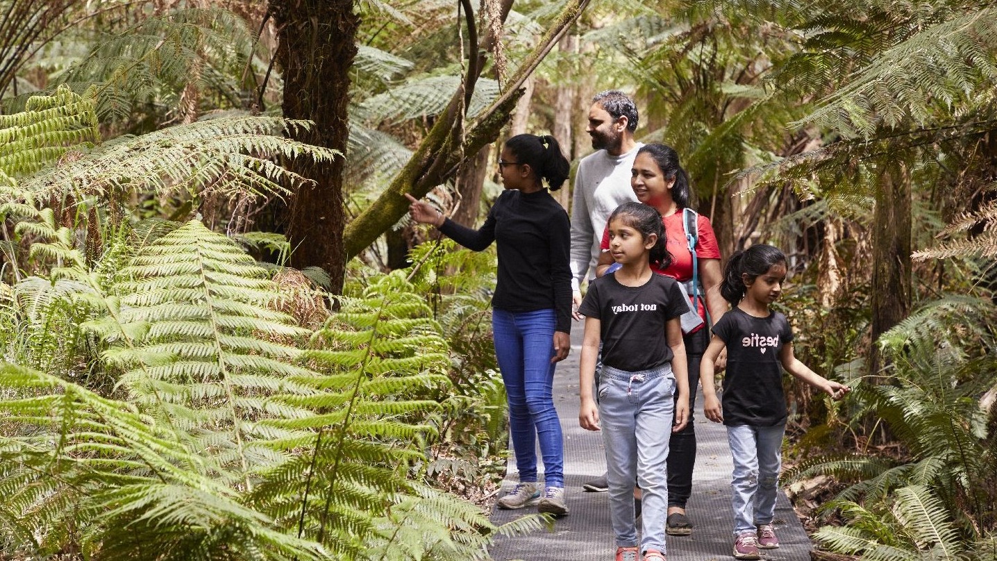 A picture of a family of five walking a long a boardwalk by some ferns