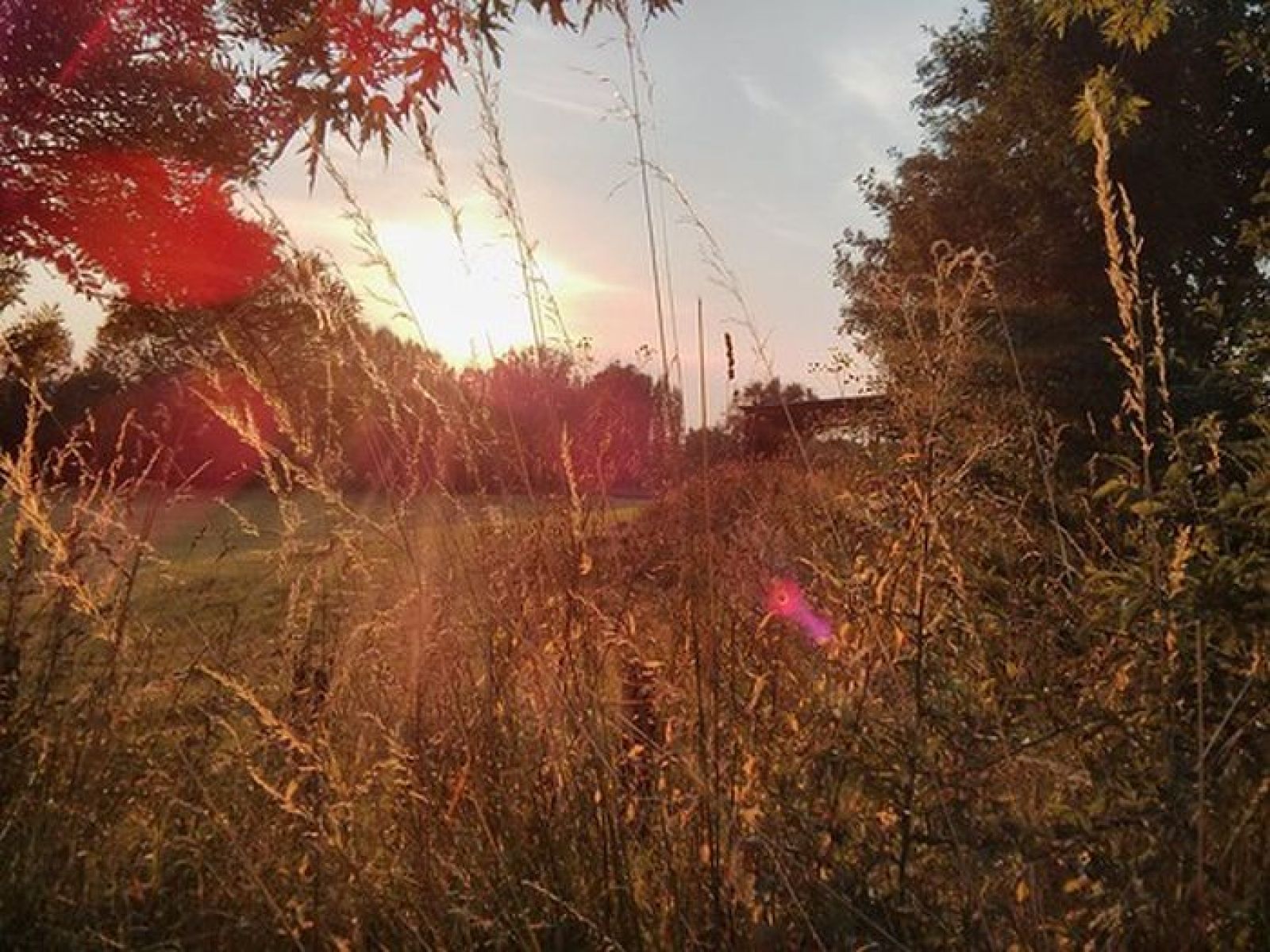 Wallan Wallan Regional park at sunset