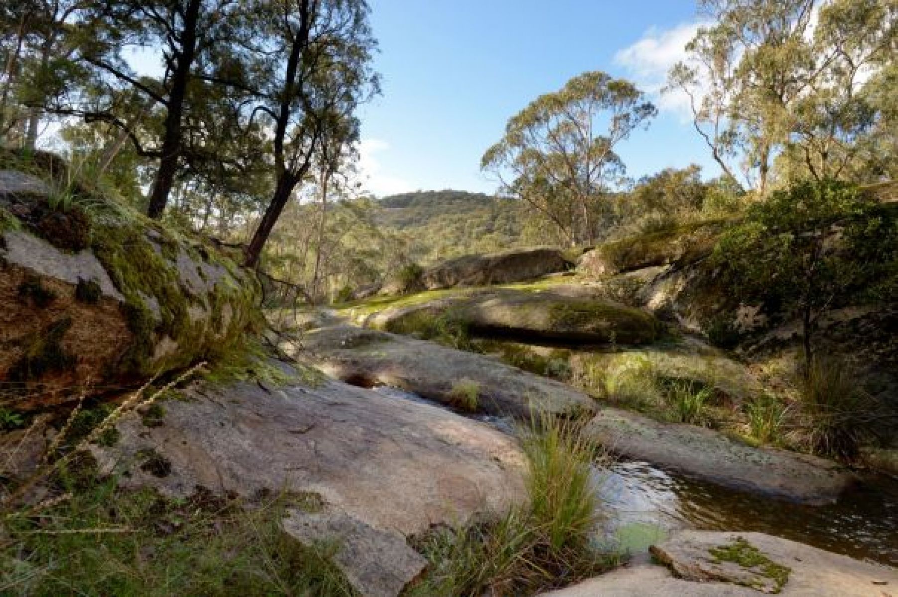 Large granite boulders overlooking the forest 