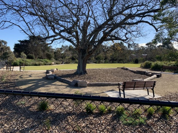 Area with fence in foreground, tree centre and park bench near tree