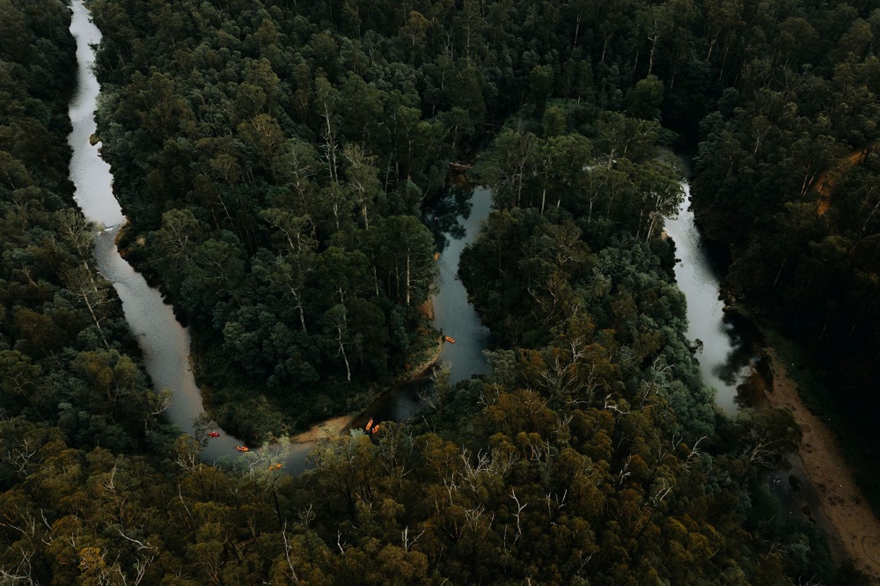 An aerial shot the forest with a river running through it with orange rafts dotted along.