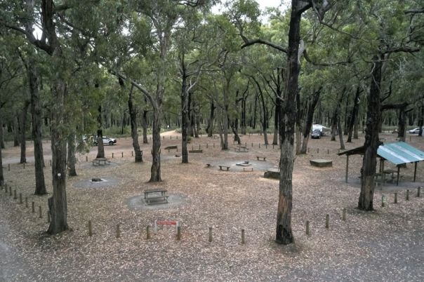 A campground surrounded by large trees, bollards and a picninc shelter
