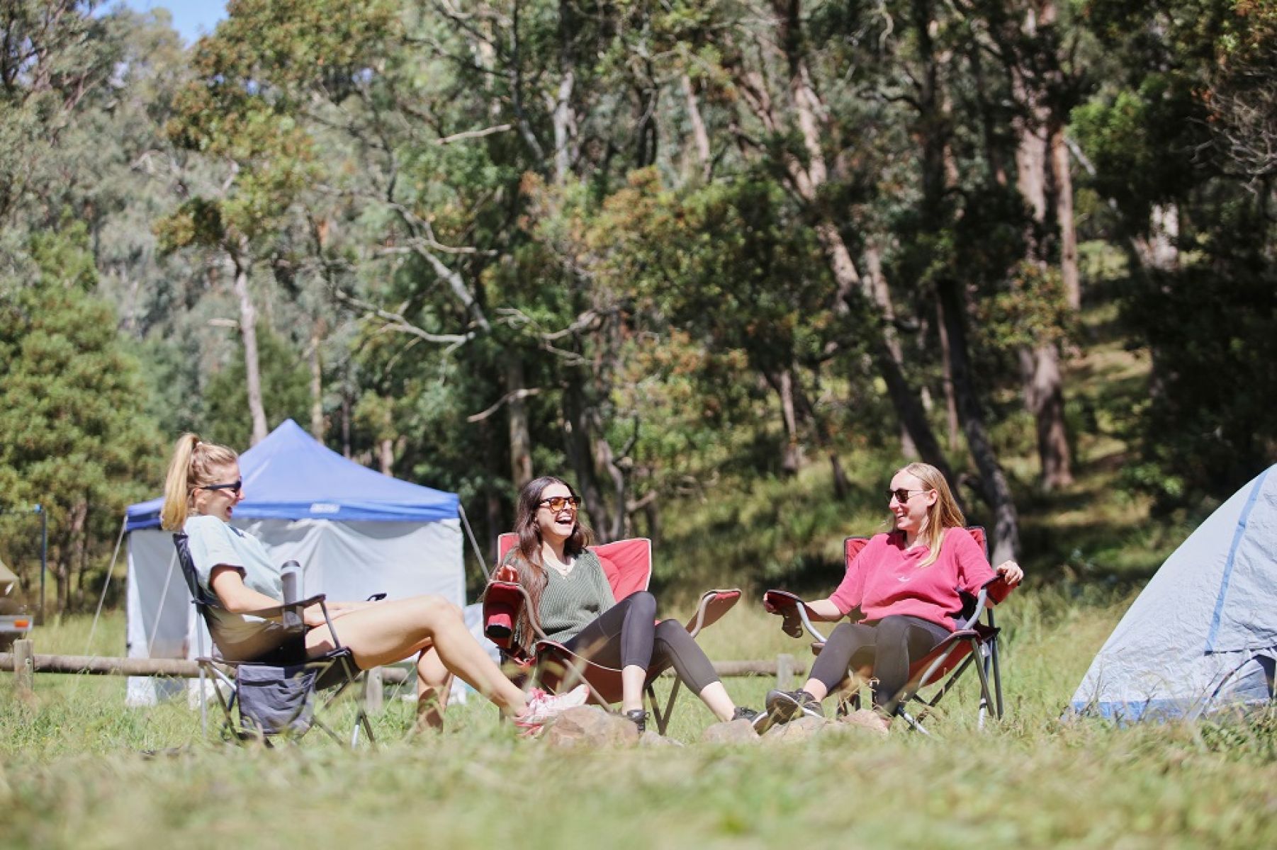 People sitting in front of tent in grassy clearing surrounded by forest
