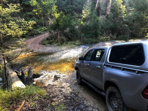 A 4WD crossing a river in the forest. 