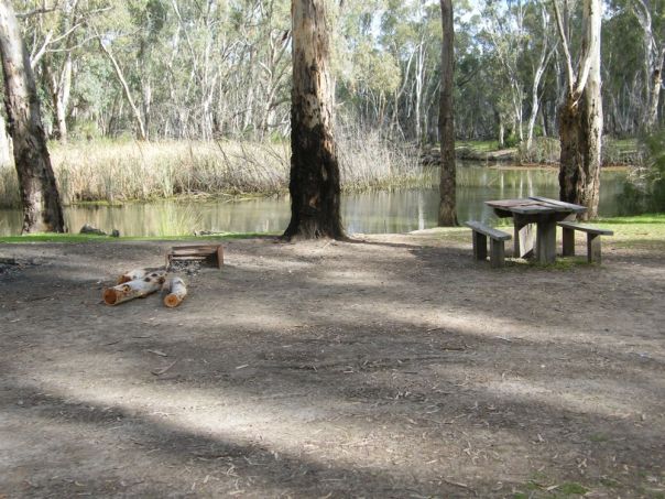 A campground in the forest beside a river with a picnic table and fire pit