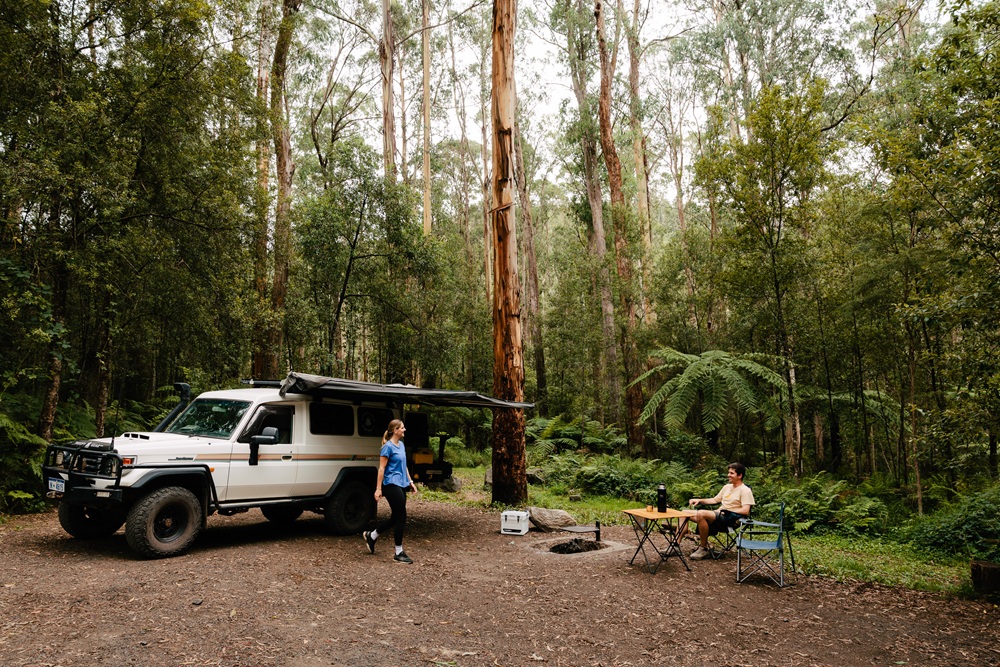 Two people at a forest campground. One person walking and one person sitting by the campfire  