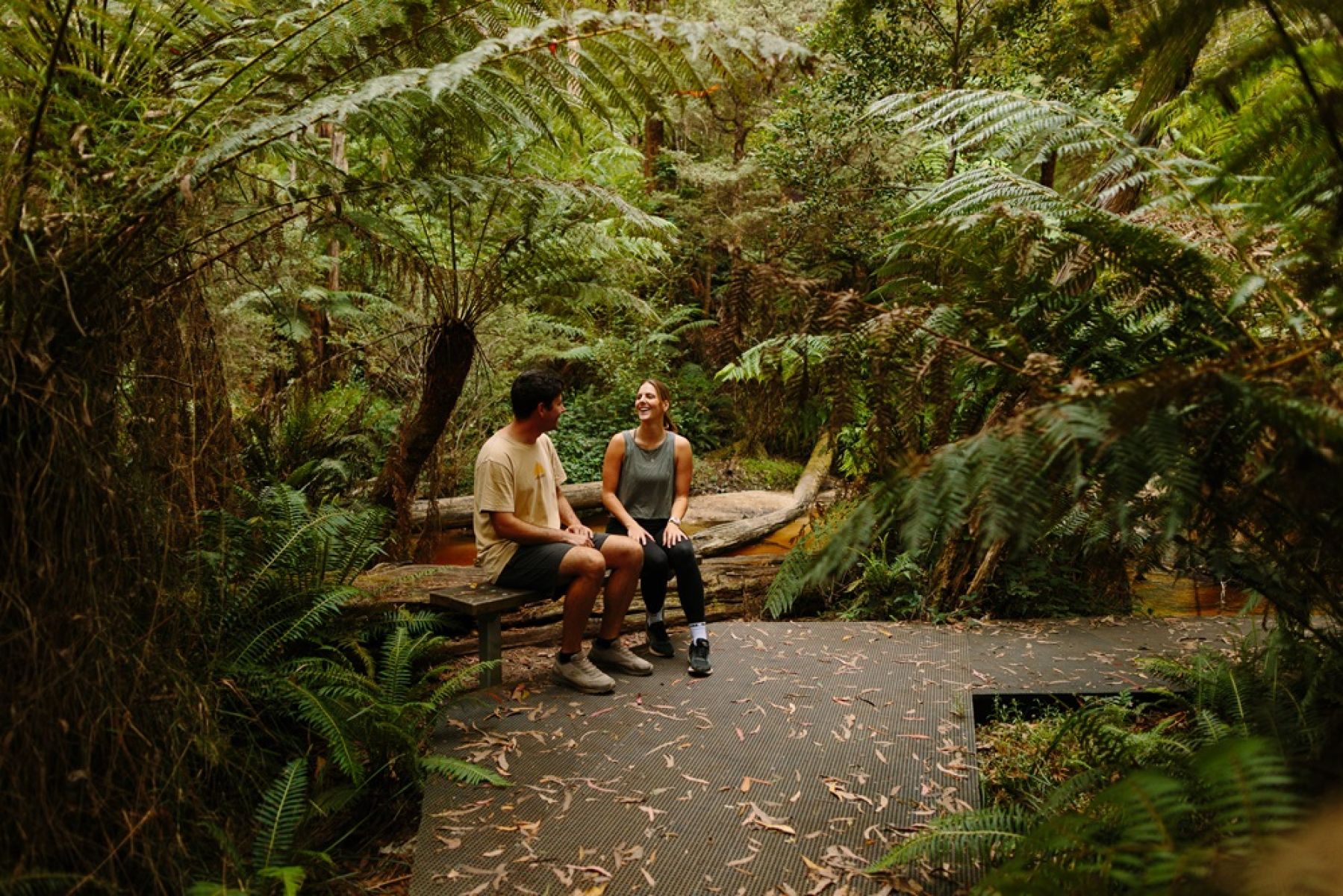 Two people on a seat in the forest