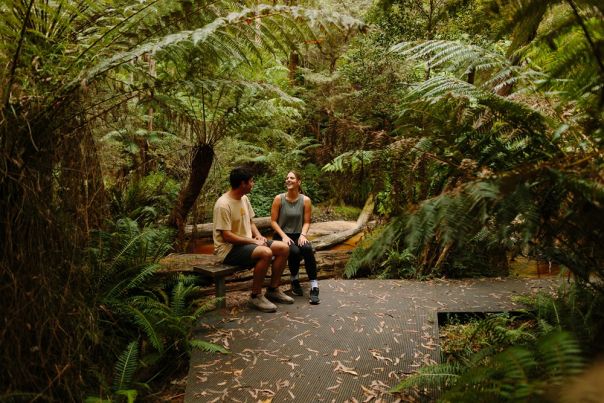 Two people on a seat in the forest