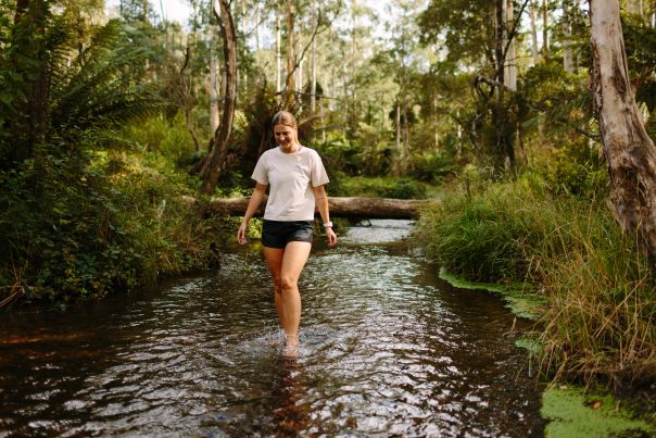 A person walking through a very shallow river surrounded by forest