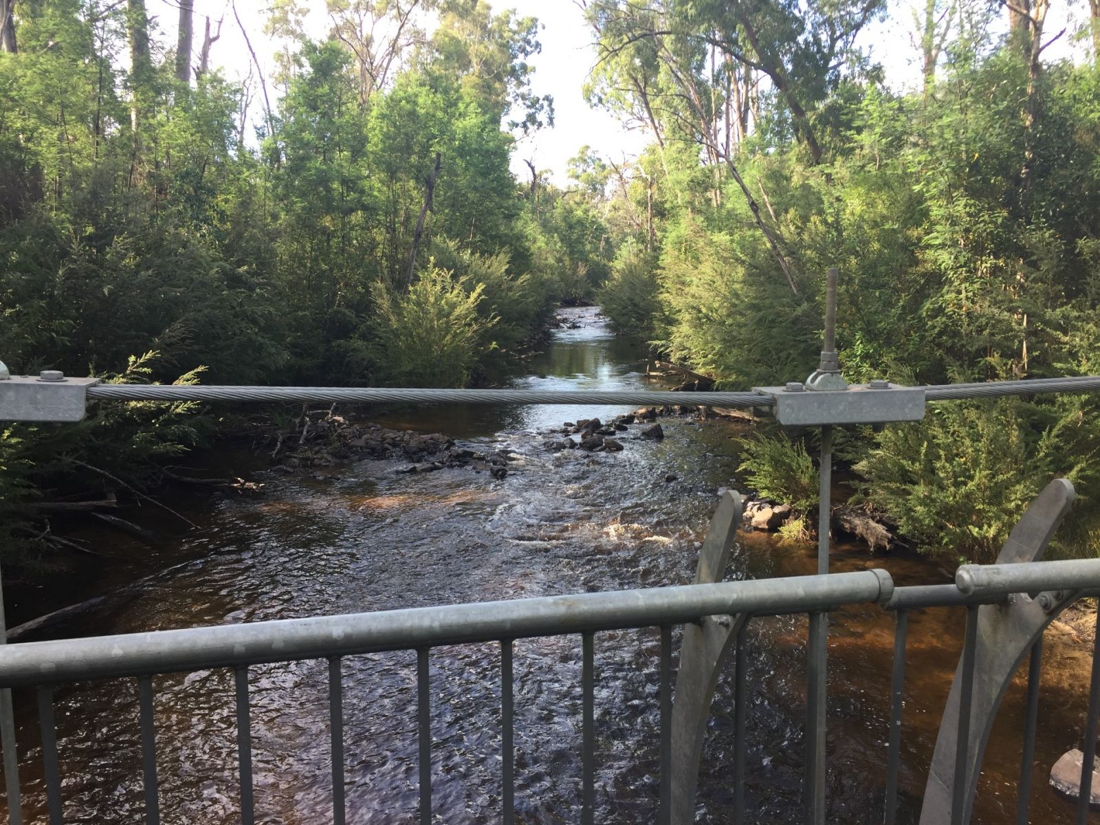 View of the Murrindindi River looking down from a footbridge