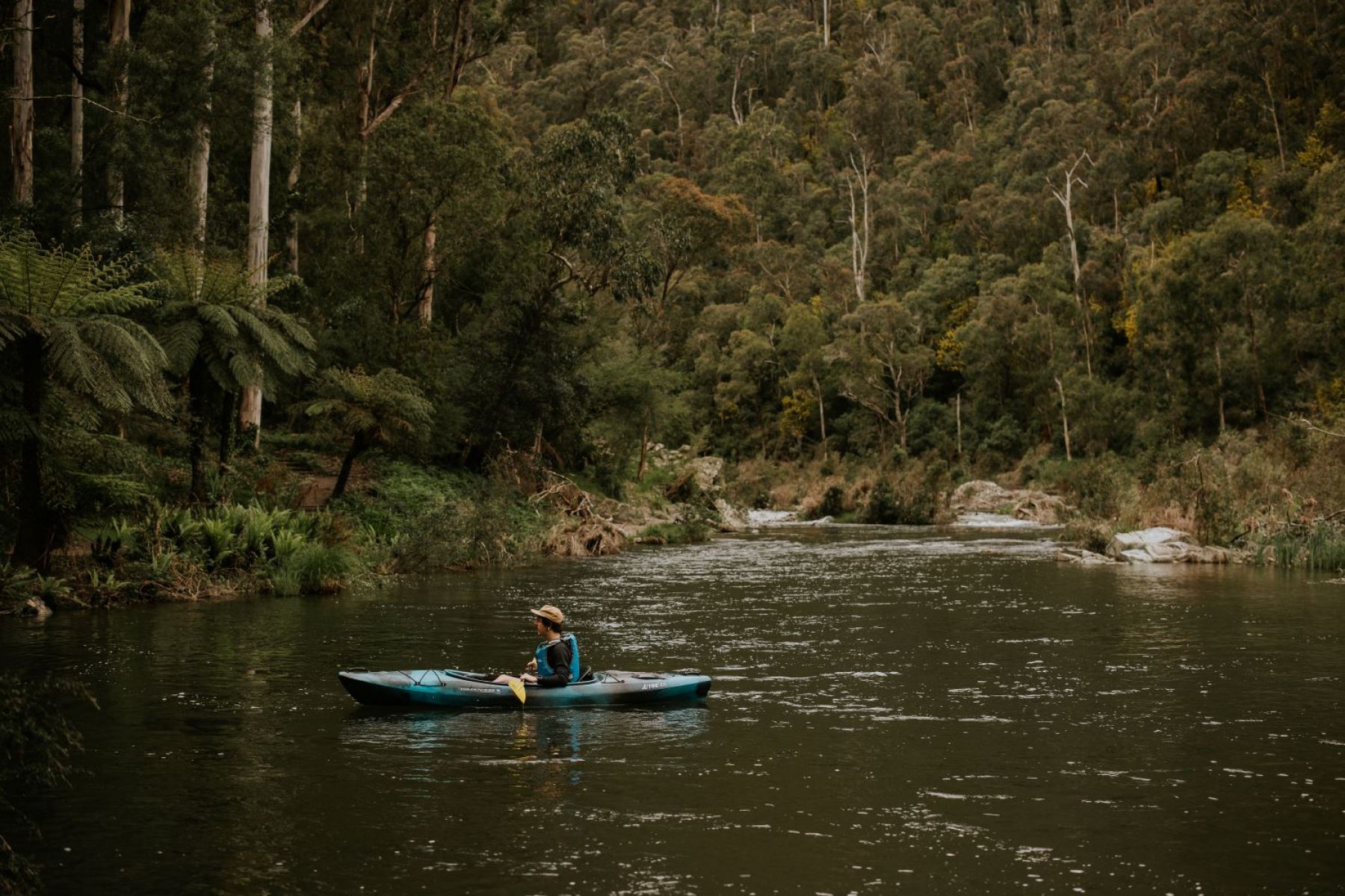 A person sitting on a river resting in their canoe on the river. Treed surrounds. 
