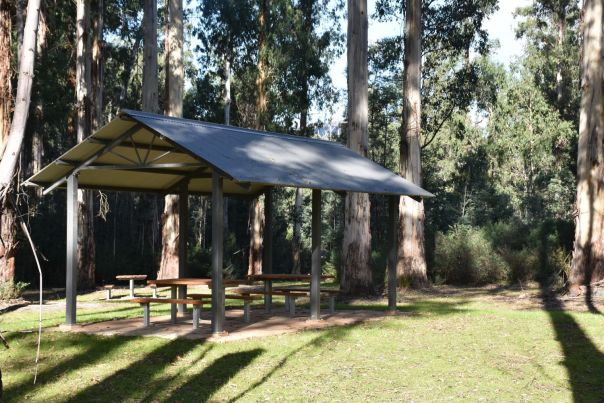 A large metal picnic shelter provides cover over two picnic tables. Tall trees and green grass surround the shelter.