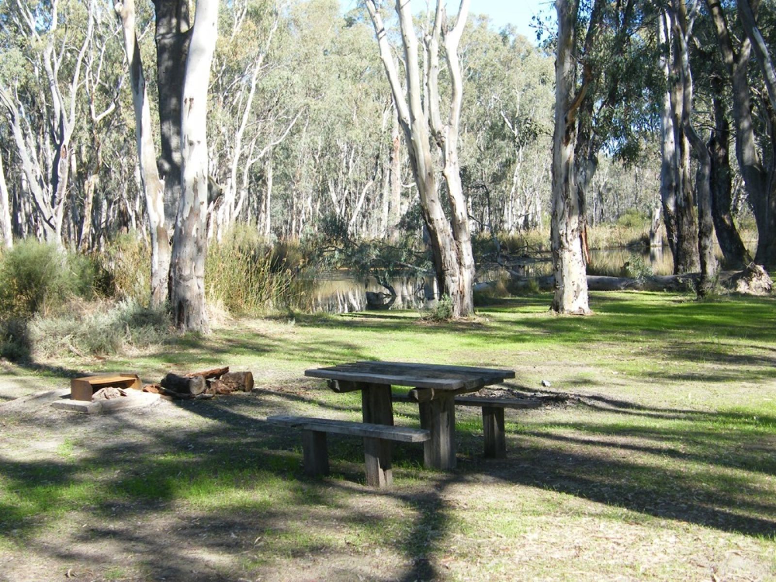 A picnic table and firepit beside the river in the forest. 