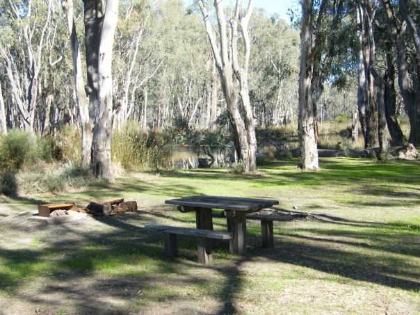 A picnic table and firepit beside the river in the forest. 