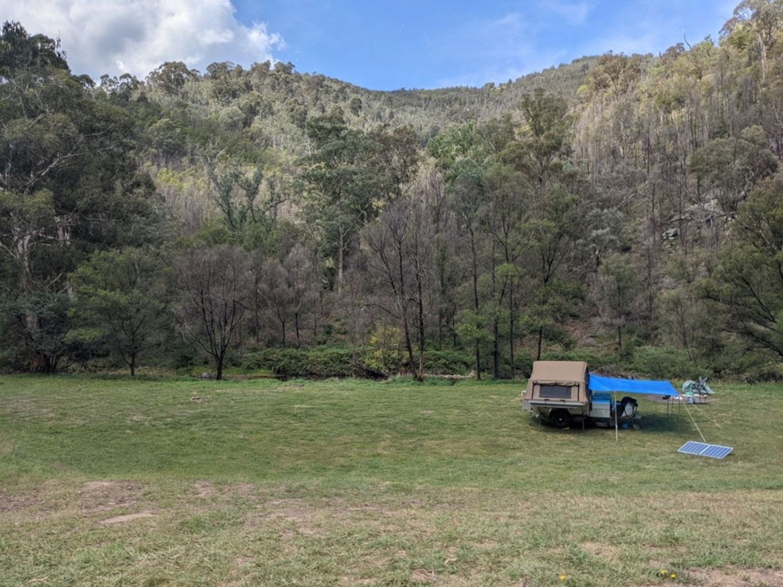A grassy campground with a camper trailer overlooking the forest 