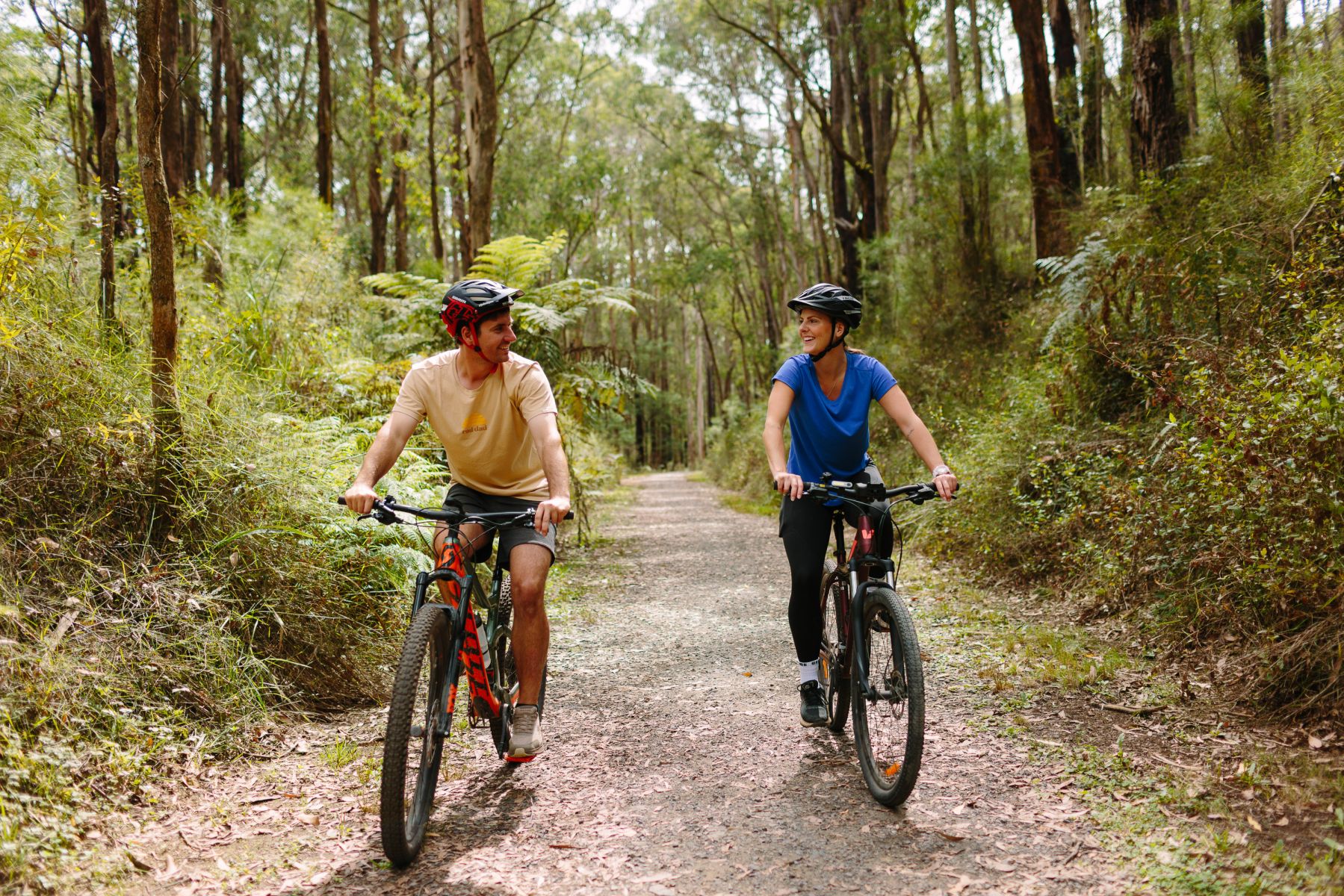 Two people riding bikes on a forest trail