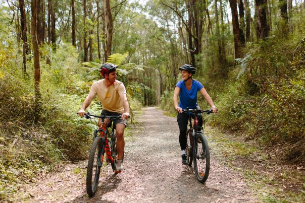 Two people riding bikes on a forest trail