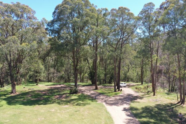 A large grassy campground surrounded by native trees