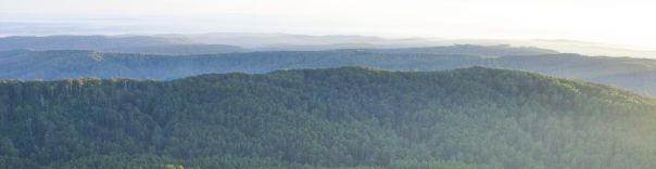 Otway National Park