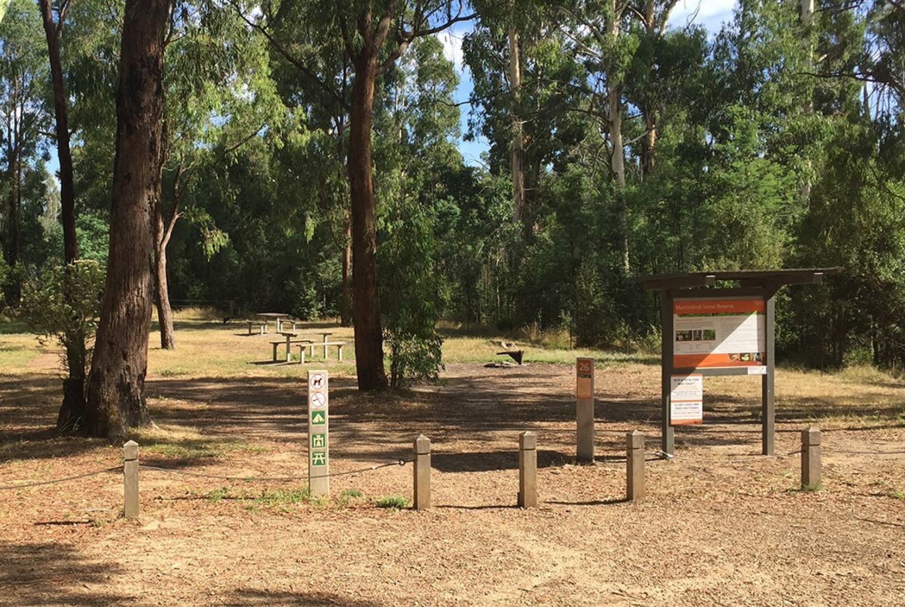 An open and grassy campground surrounded by tall trees.