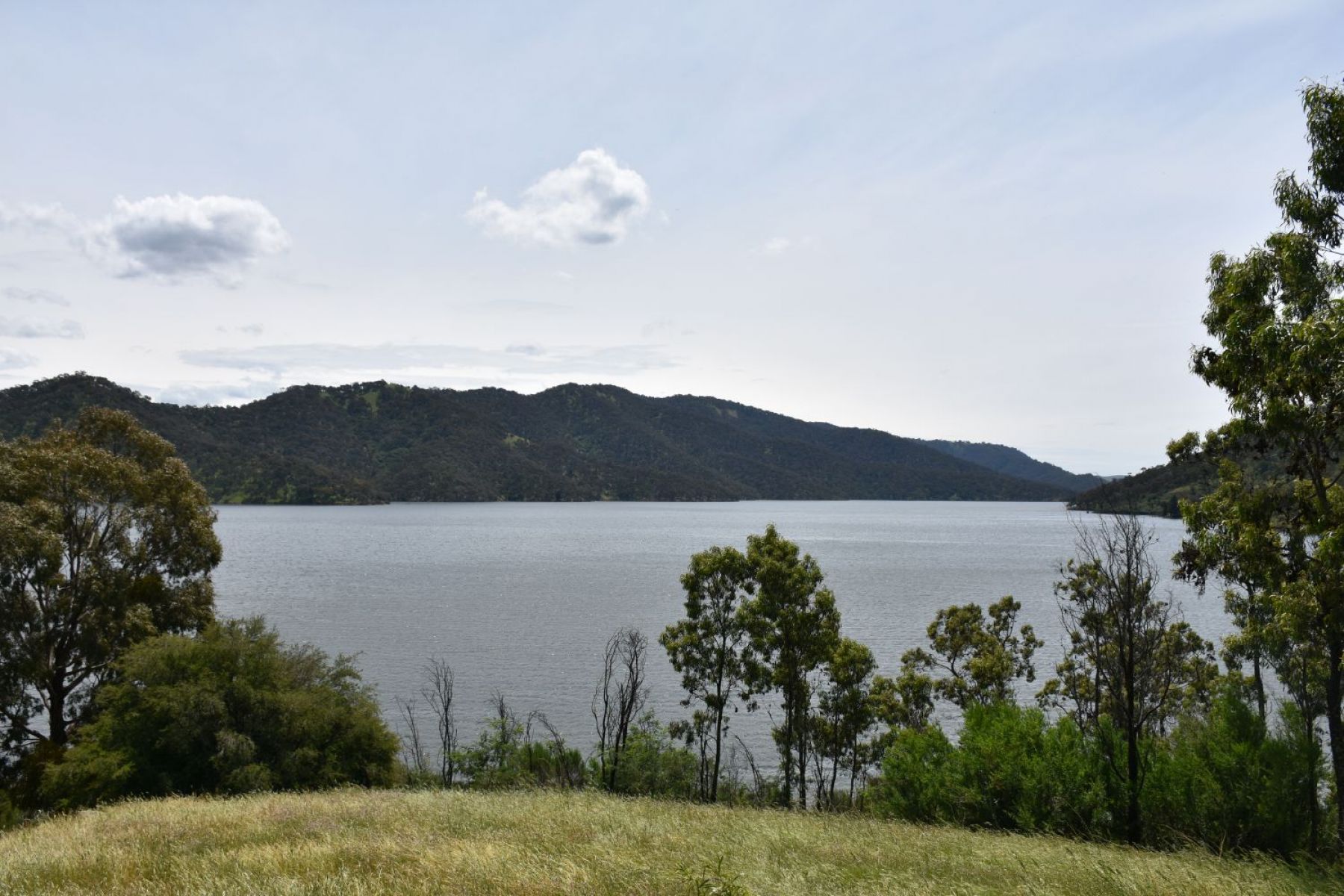 A grassy area overlooking a large lake