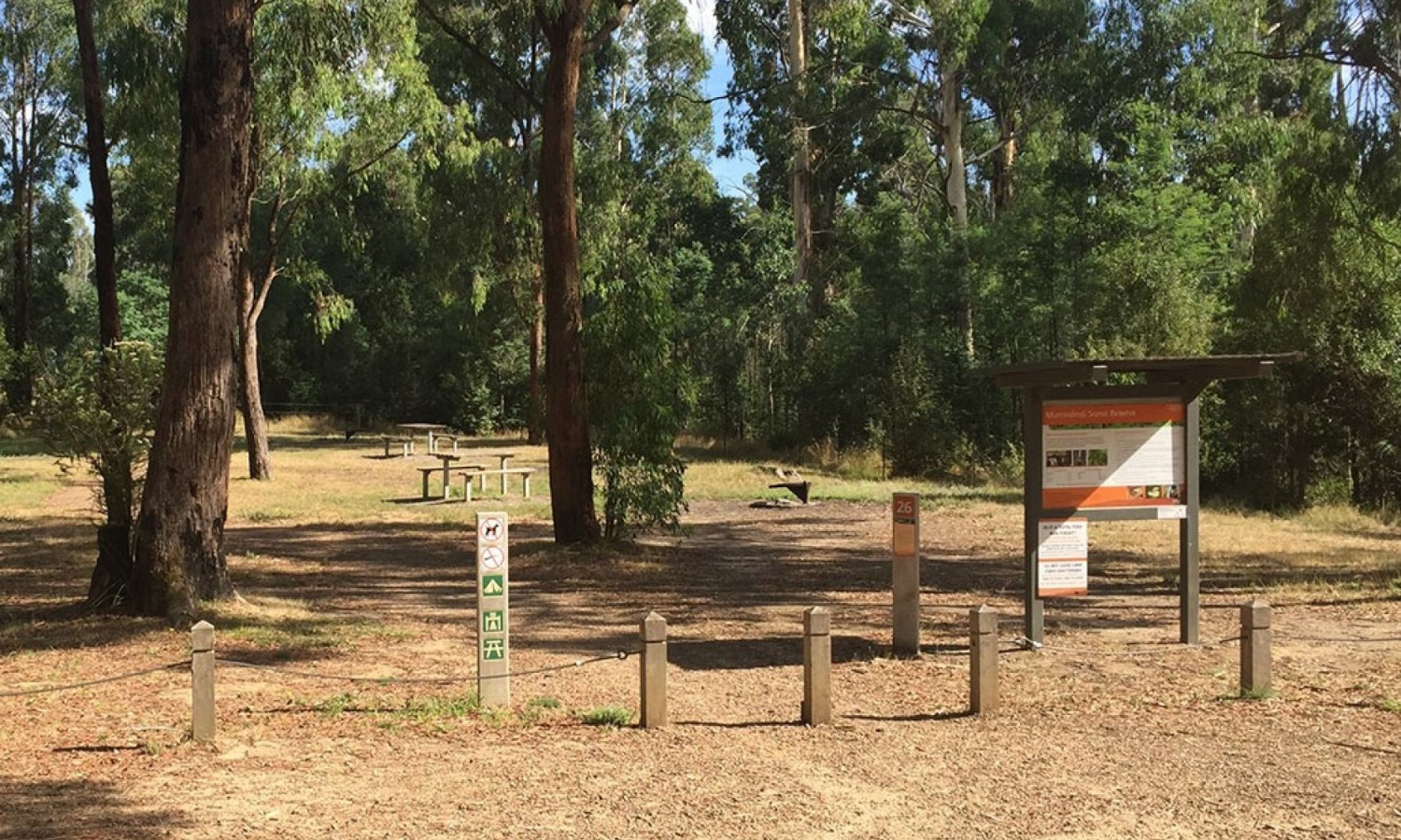 Murrindindi camping.jpg Grass camping site with trees, bollards, information signs and picnic tables.