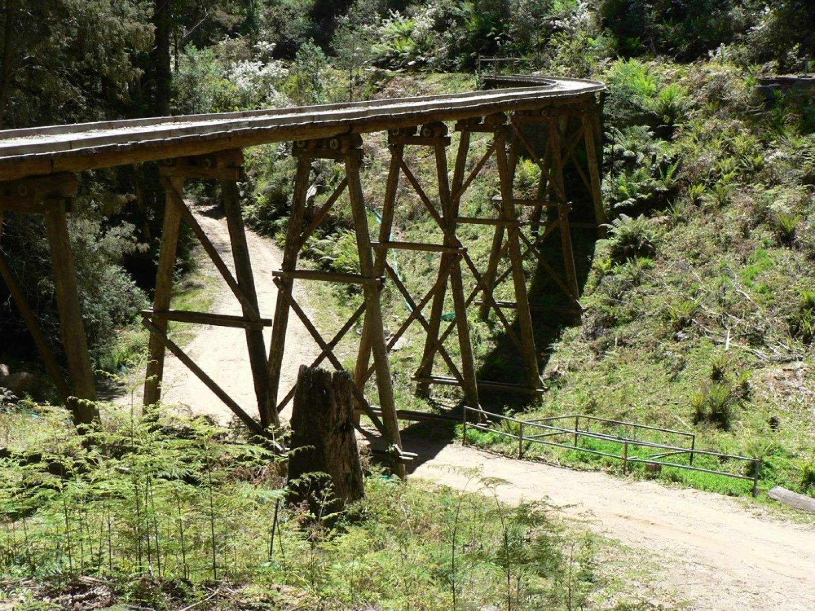 A wooden heritage trestle bridge in the forest. 