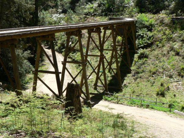 A wooden heritage trestle bridge in the forest. 