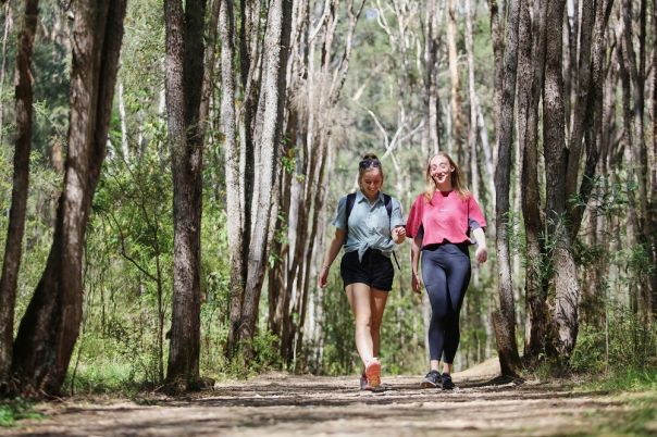 People walking on forest track
