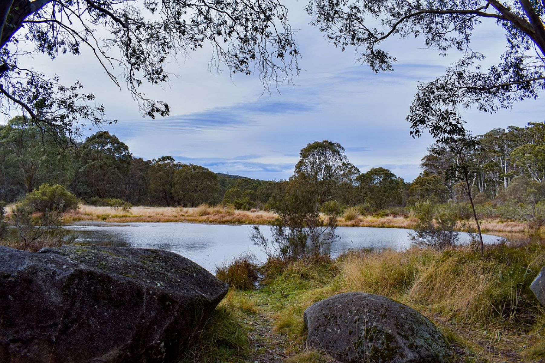 Lake surrounded by grass and forested hills