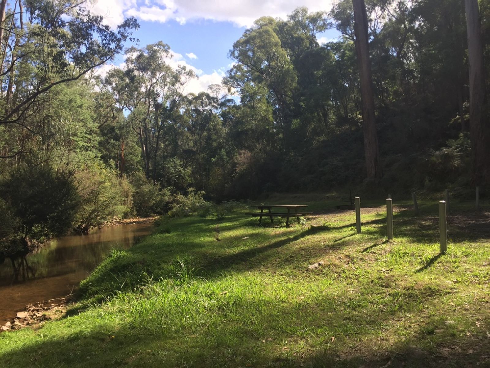 A grassy clearning beside a creek surrounded by trees
