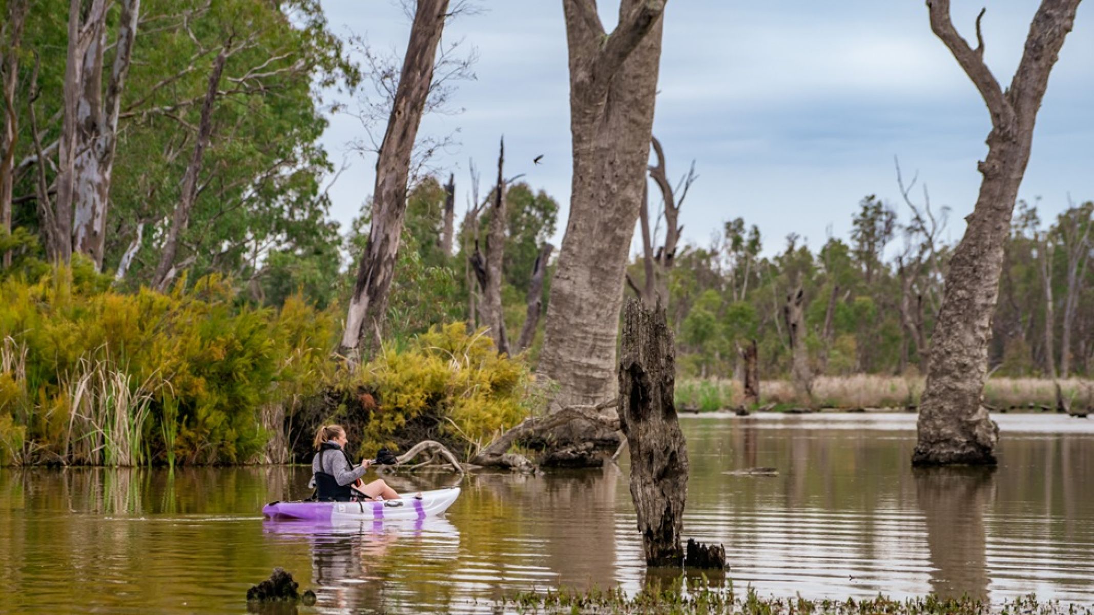A person canoeing on a wide creek surrounded by forest