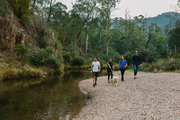 Group of people walking alongside a river surrounded by forest