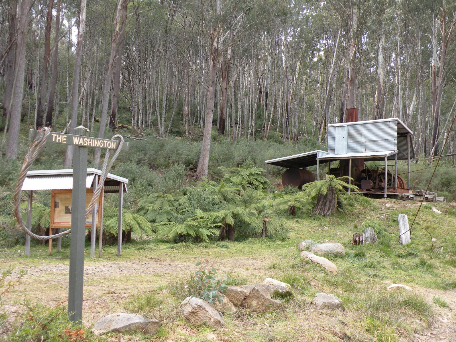 A historical site that features logging relics