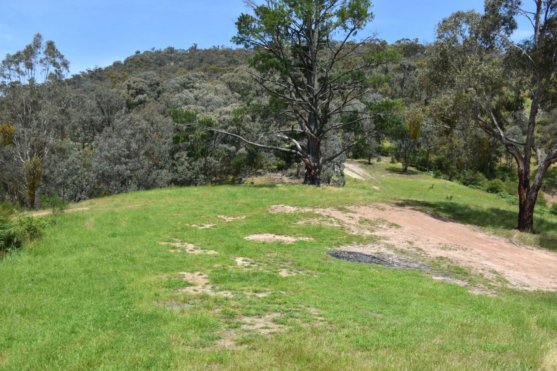 An open grassy campground on a sunny day