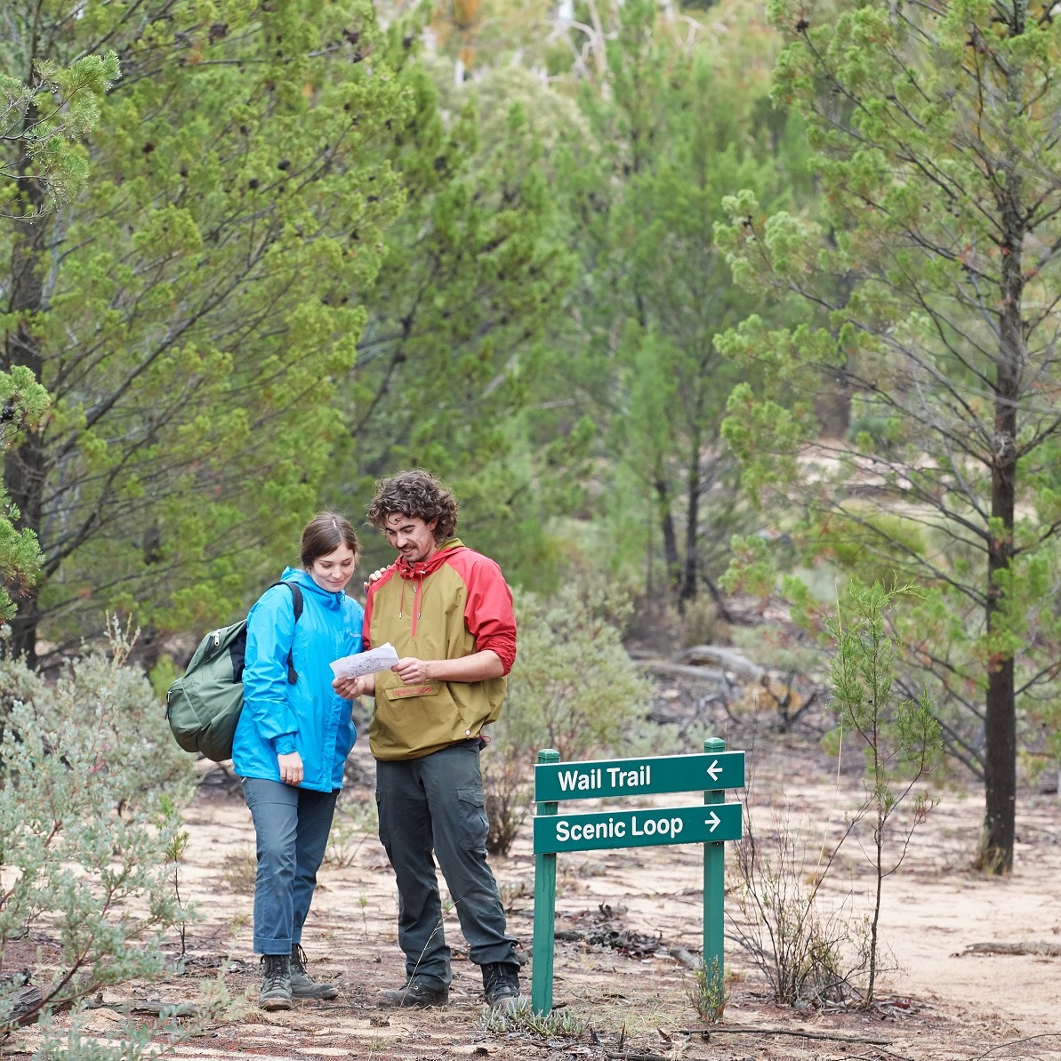 Two people looking at a map along the Beeripmo Walk   