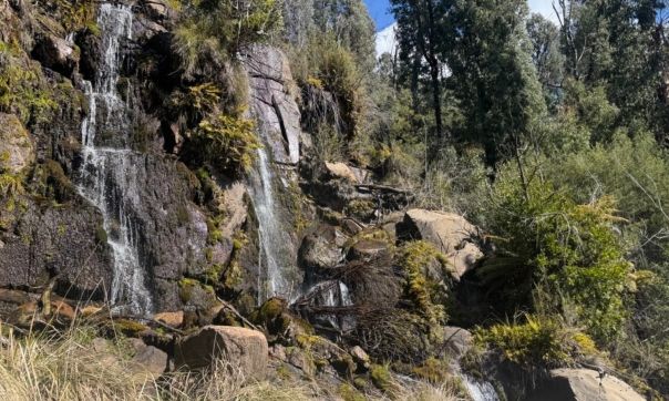 A waterfall surrounded by forest