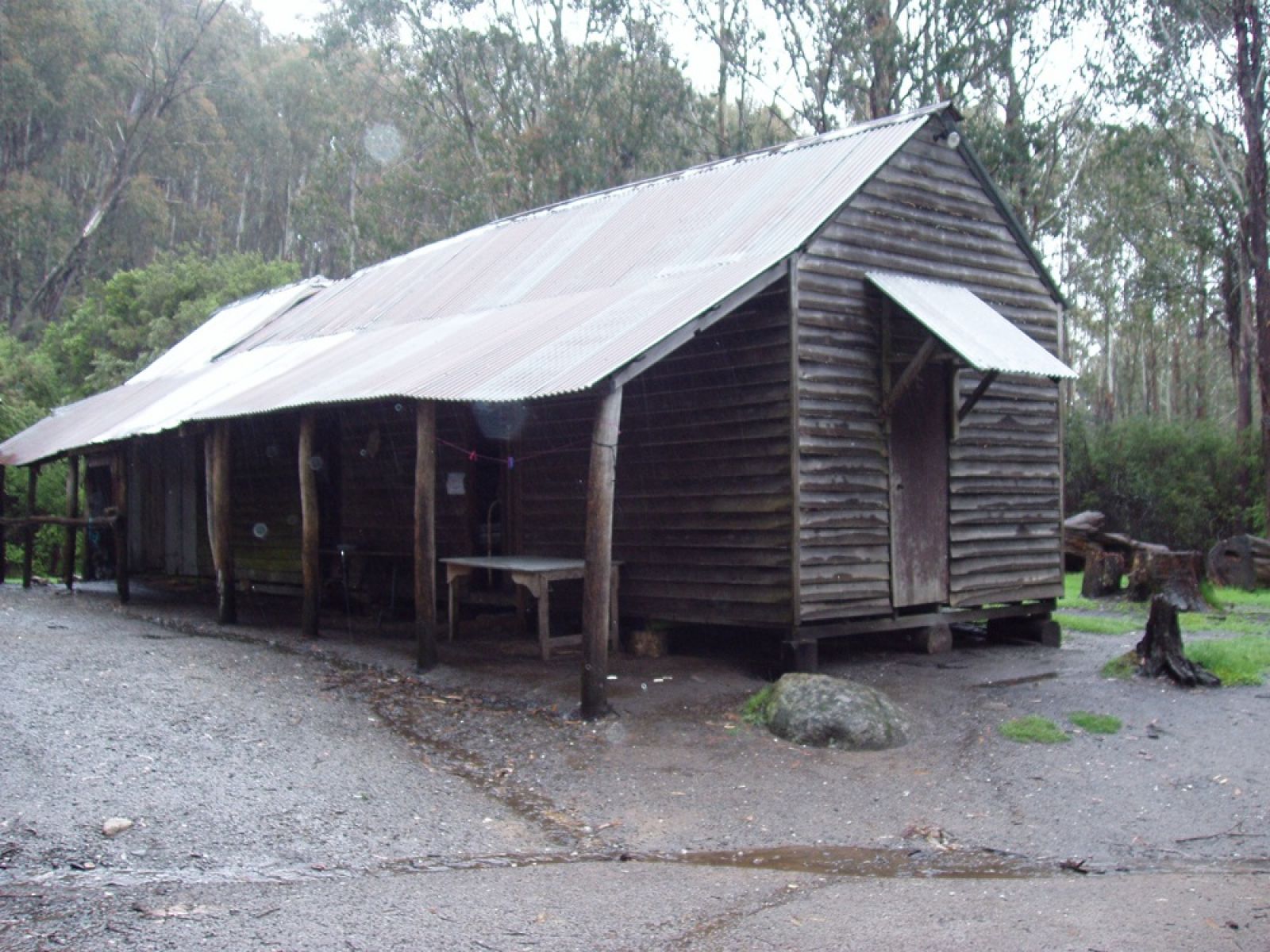 Wooden hut surrounded by trees
