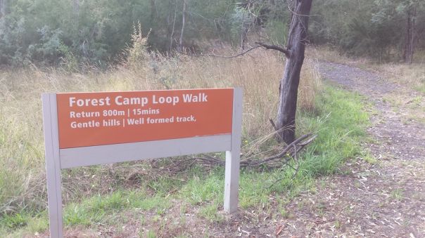 Orange sign with a waking track heading into forest
