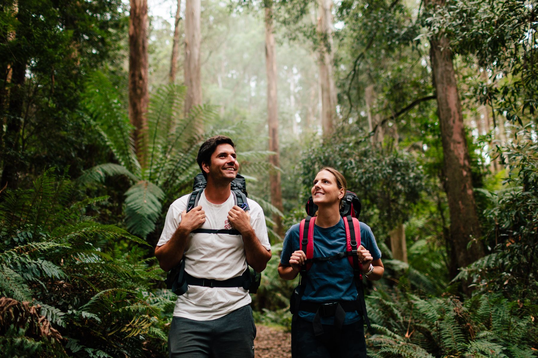 Two people with overnight backpacks walking through tall forest