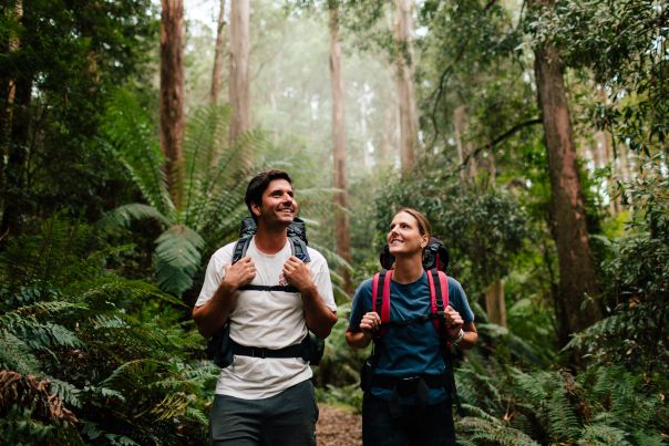 Two people with overnight backpacks walking through tall forest