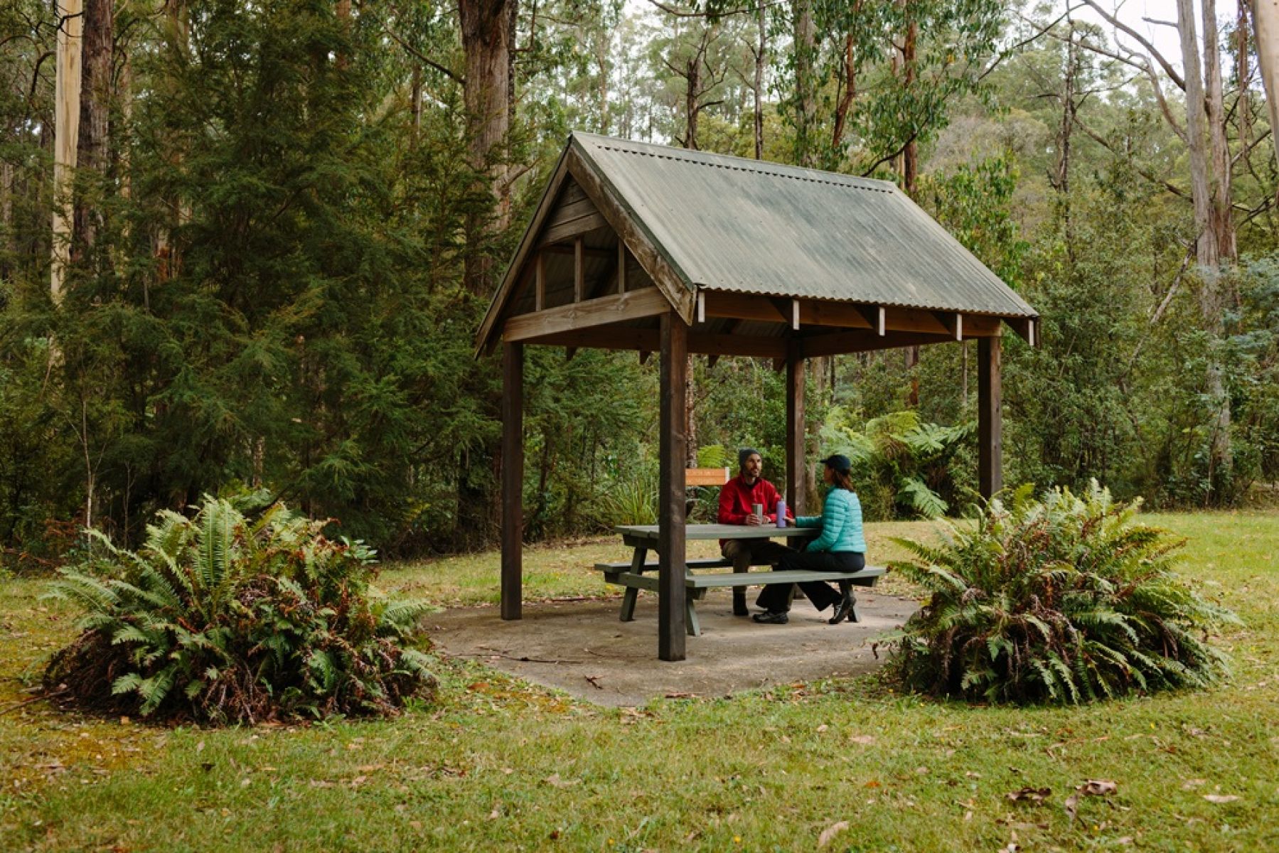 Two people sitting at a shelter in the forest 