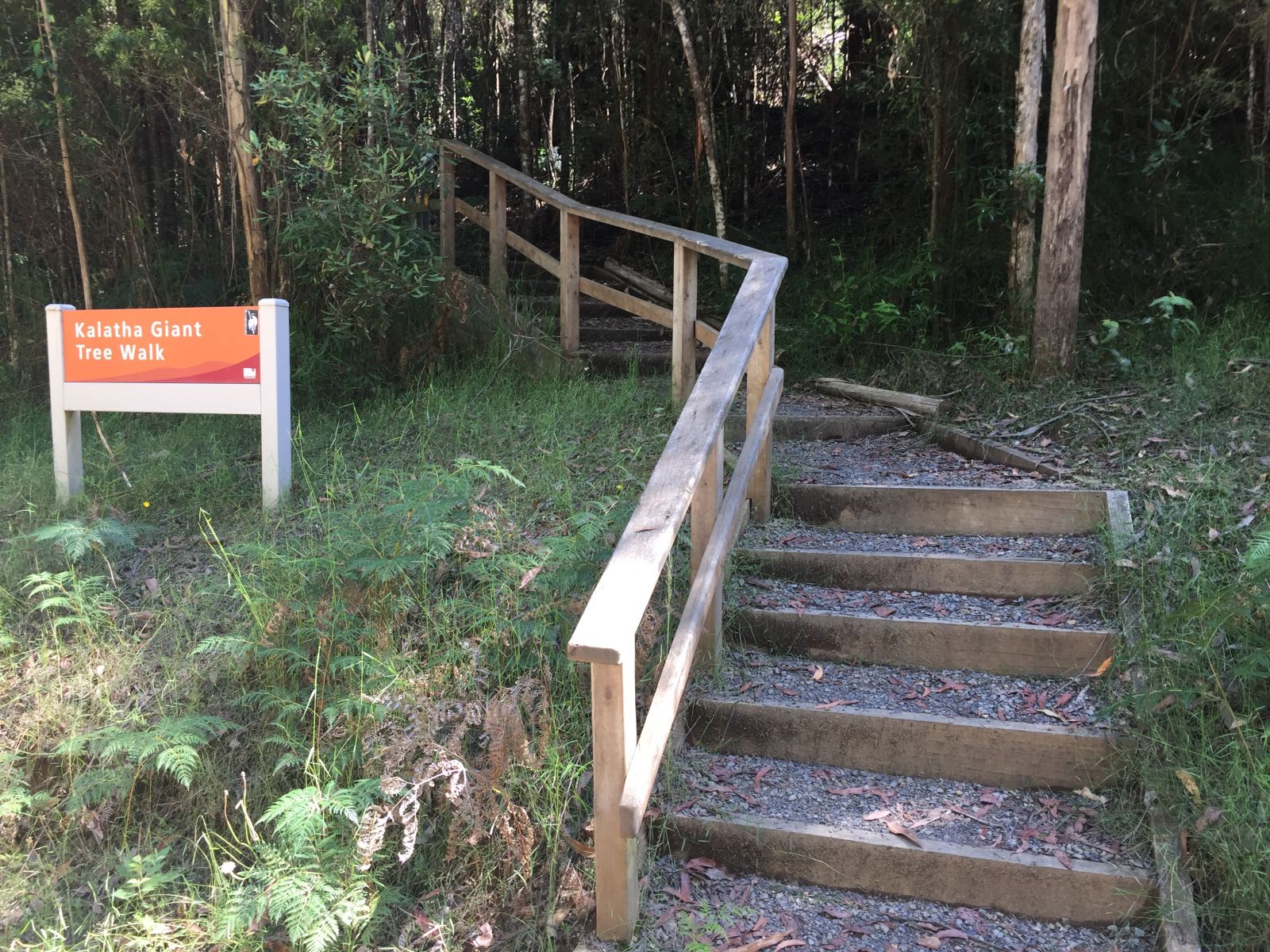 Kalatha Giant Tree Walk sign