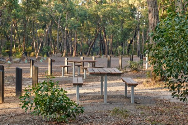 Two picnic tables in a clearing surrounded by trees